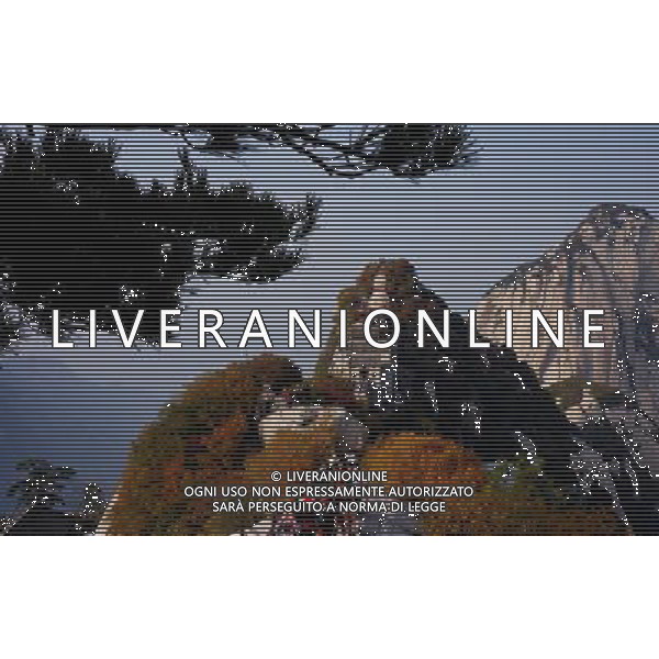 (121021) -- XI\'AN, Oct. 21, 2012 () -- Tourists enjoy the scenery of Huashan Mountain in Huayin, northwest China\'s Shaanxi Province, Oct. 21, 2012. (/Tao Ming) (wjq) ©photoshot/AGENZIA ALDO LIVERANI SAS - ITALY ONLY - Veduta del paesaggio autunnale della montagna in Huashan Huayin, nord-ovest della Cina provincia dello Shaanxi