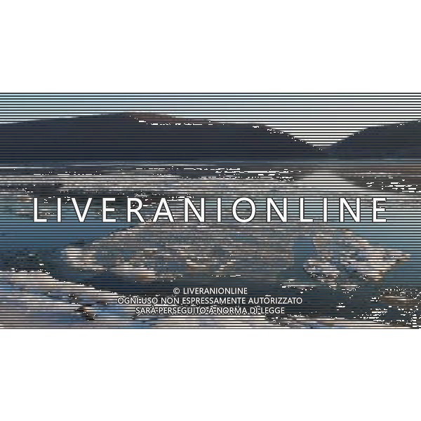 (121023) -- HEIHE(HEILONGJIANG), Oct. 23, 2012 () -- Drift ice flows on the Heilongjiang River at the section of Heihe City, northeast China\'s Heilongjiang Province, Oct. 23, 2012. Affected by the temperature drop, large amount of drift ice appeared in the river recently. (/Qiu Qilong) (ry) ©photoshot/AGENZIA ALDO LIVERANI SAS - ITALY ONLY - Lastre di ghiaccio in movimento scorre sul fiume Heilongjiang alla sezione di Heihe City, a nord est della Cina provincia di Heilongjiang, 23 ottobre 2012.