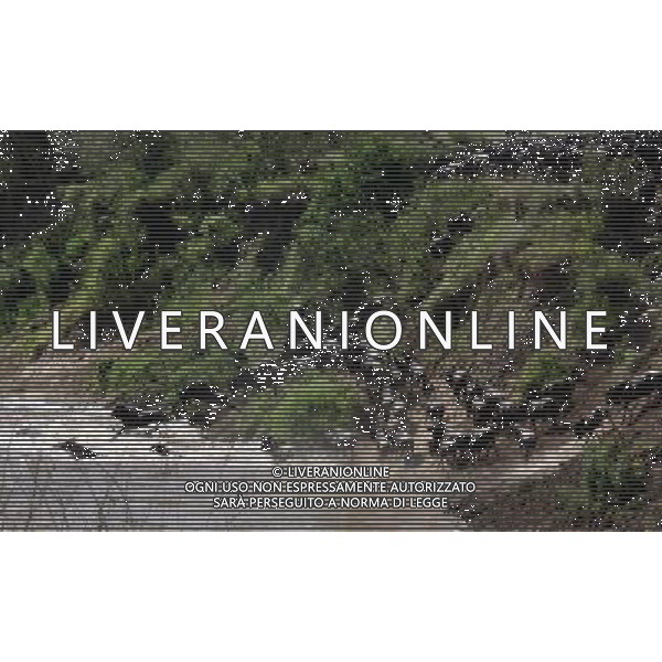 (121023) -- MASAIMARA, Oct. 23, 2012 () -- Migrating gnus run across the Mara River at Masai Mara National Reserve in Kenya, on Oct. 20, 2012. When grass withers at Serengeti National Park in north Tanzania, flocks of gnus living there start their annual migration to Masai Mara National Reserve in Kenya. (/Jiang Lin) (jl) ©photoshot/AGENZIA ALDO LIVERANI SAS - ITALY ONLY - Migrazione annuale di mandrie di gnu attraversano il fiume Mara al Masai Mara National Reserve in Kenya, il 20 ottobre 2012.