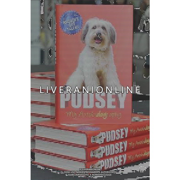 Britains\'s Got Talent Winners, Ashleigh Butler \' Pudsey\'s autobiography \'Pudsey; My Autobiography\' at The Liberty Shopping Centre, Romford, Essex on Saturday 27th October 2012. /AGENZIA ALDO LIVERANI SAS/ITALY ONLY - EDITORIAL USE ONLY