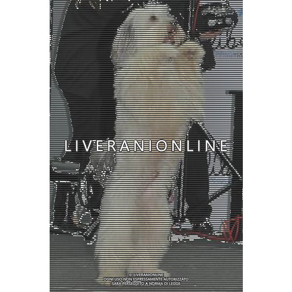 Britains\'s Got Talent Winner, Pudsey performs at The Liberty prior to signing for Waterstones of the new autobiography \'Pudsey; My Autobiography\' at The Liberty Shopping Centre, Romford, Essex on Saturday 27th October 2012. /AGENZIA ALDO LIVERANI SAS/ITALY ONLY - EDITORIAL USE ONLY