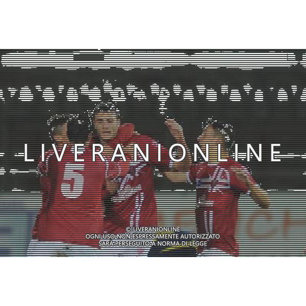 Ac Perugia 2012 2013 CAMPIONATO Lega Pro 1^ Divisione Perugia vs Carrarese NELLA FOTO ABBRACCI PERUGIA Riproduzione vietata senza il consenso dell\'autore info@settoncephotoagency.com AG ALDO LIVERANI S A S