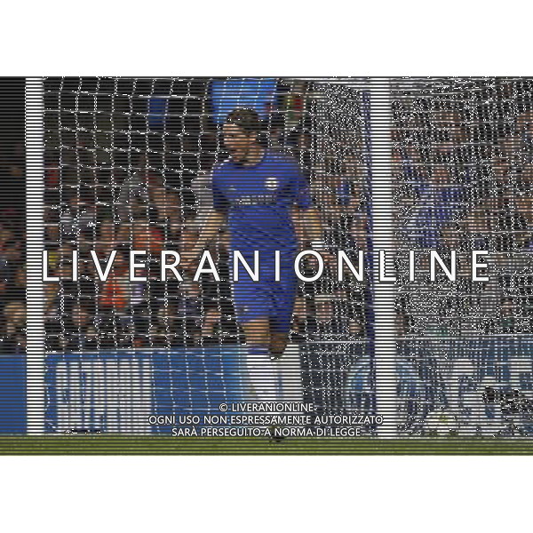 Chelsea\'s Fernando Torres celebrates scoring his sides first goal 1-0 Football - UEFA Champions League Group E - Chelseav Shakhtar Donetsk - Wednesday 7th November 2012 - Stamford Bridge - London © CameraSport - 43 Linden Ave. Countesthorpe. Leicester. England. LE8 5PG - Tel: +44 (0) 116 277 4147 - admin@camerasport.com - www.camerasport.com AG ALDO LIVERANI S A S ONLY ITALY
