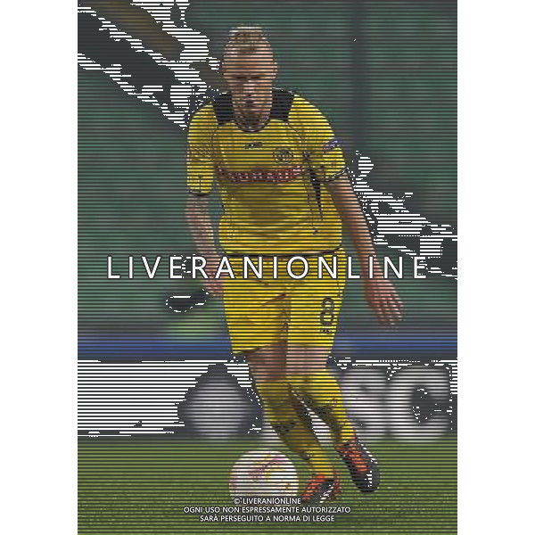 UEFA Europa League 2012/2013 Gruppo A Udine - 08.11.2012 Udinese-Young Boys Nella Foto:Farnerud Alexander /Ph.Vitez-Ag. Aldo Liverani