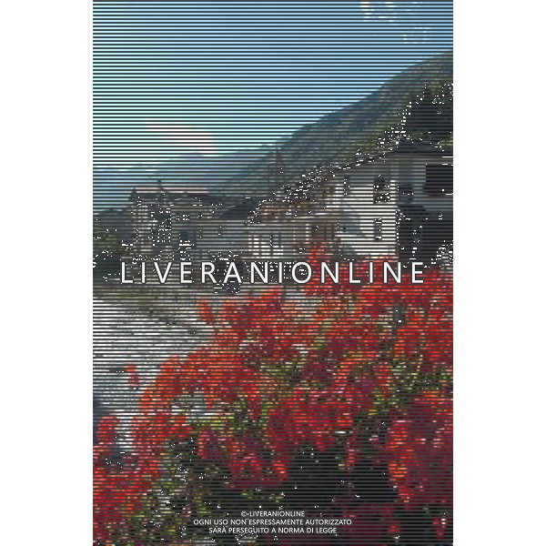 LOCALITA TURISTICA,PAESAGGIO MONTANO,LUOGO DI VLLEGGIATURA,ESTATE,TURISMO,ALPI PH GIGI ARCAINI/AG.ALDO LIVERANI