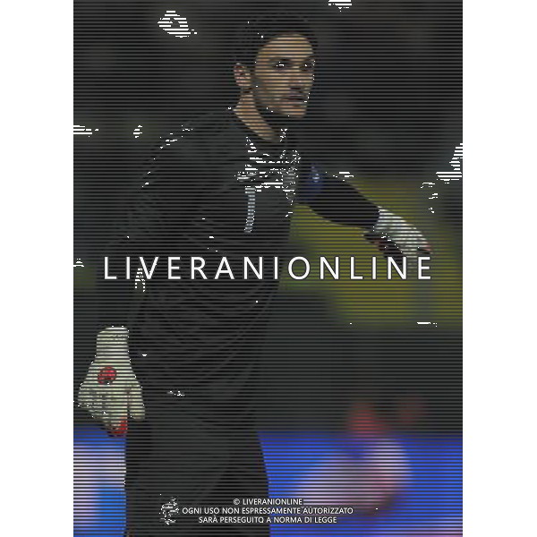 Amichevole Parma - 14.11.2012 Italia-Francia Nella Foto:Lloris Hugo /Ph.Vitez-Ag. Aldo Liverani