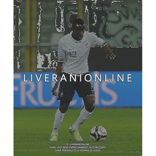 Amichevole Parma - 14.11.2012 Italia-Francia Nella Foto:Matuidi Blaise /Ph.Vitez-Ag. Aldo Liverani