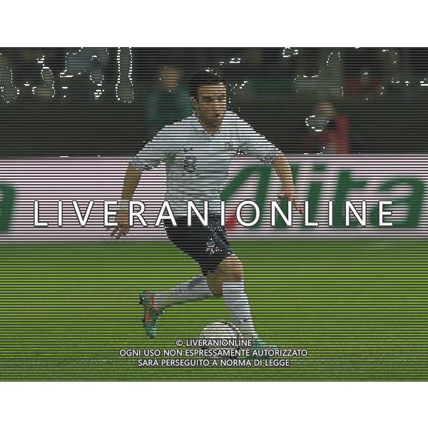 Amichevole Parma - 14.11.2012 Italia-Francia Nella Foto: /Ph.Vitez-Ag. Aldo Liverani