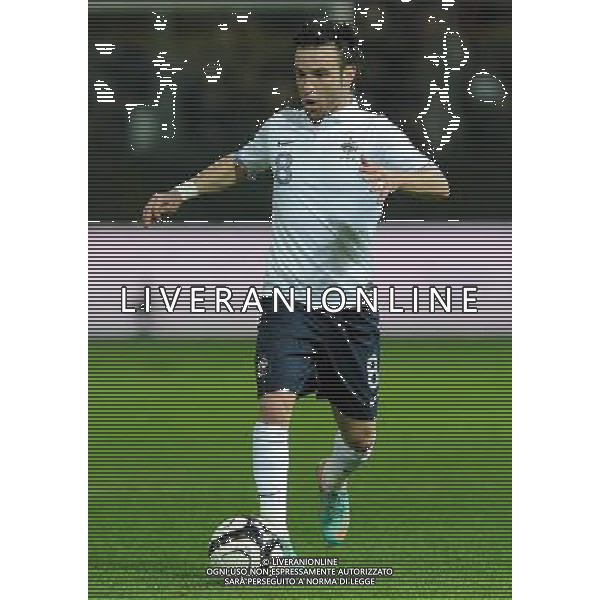 Amichevole Parma - 14.11.2012 Italia-Francia Nella Foto: /Ph.Vitez-Ag. Aldo Liverani