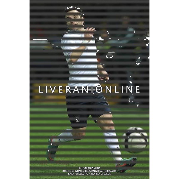 Amichevole Parma - 14.11.2012 Italia-Francia Nella Foto: /Ph.Vitez-Ag. Aldo Liverani