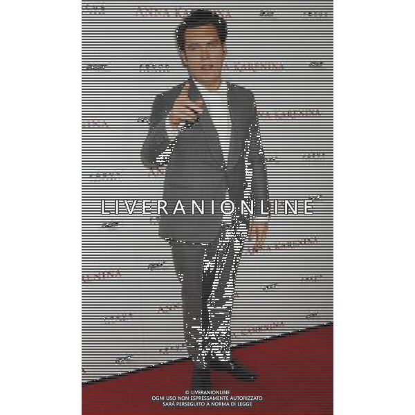 Joe Wright \'Anna Karenina\' Los Angeles Premiere at the ArcLight Cinemas Hollywood November 14, 2012 - Hollywood, California /AGENZIA ALDO LIVERANI SAS/ITALY ONLY - EDITORIAL USE ONLY