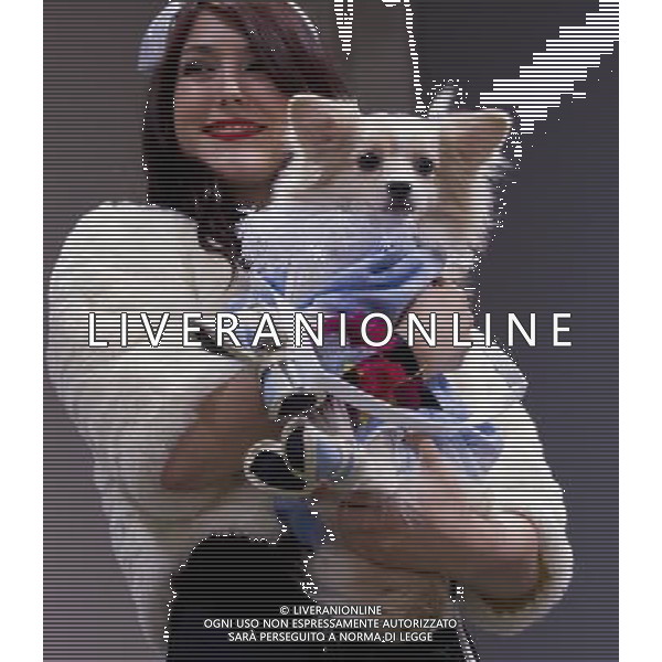 (121118) -- TORONTO, Nov. 18, 2012 () -- A model with a dressed pet dog are seen on stage during the 3rd Winter Woofstock in Toronto, Canada, Nov.17, 2012. This annual event is the largest holiday for dogs and their owners in Canada. Woofstock attracts tens of thousands visitors every year. (/Zou Zheng) ©photoshot/AGENZIA ALDO LIVERANI SAS - ITALY ONLY - Il 3o Winter Woofstock a Toronto, in Canada, 17 novembre 2012 evento annuale, grande festa per i proprietari di cani e gatti