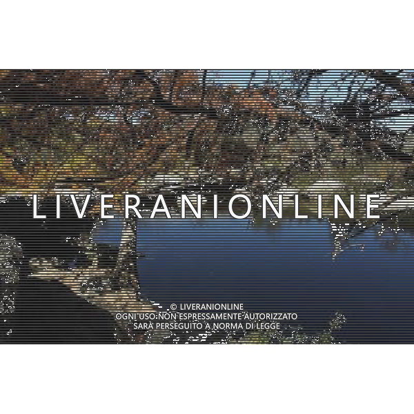 Scenic Austin. 14.11.2012. Formula 1 World Championship, Rd 19, United States Grand Prix, Austin, Texas, USA, Preparation Day. - www.xpbimages.com, EMail: requests@xpbimages.com - copy of publication required for printed pictures. Every used picture is fee-liable. © Copyright: Photo4 / XPB Images AG ALDO LIVERANI S A S ONLY ITALY