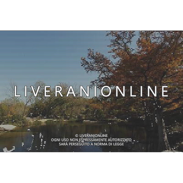 Scenic Austin. 14.11.2012. Formula 1 World Championship, Rd 19, United States Grand Prix, Austin, Texas, USA, Preparation Day. - www.xpbimages.com, EMail: requests@xpbimages.com - copy of publication required for printed pictures. Every used picture is fee-liable. © Copyright: Photo4 / XPB Images AG ALDO LIVERANI S A S ONLY ITALY