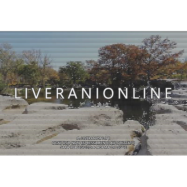 Scenic Austin. 14.11.2012. Formula 1 World Championship, Rd 19, United States Grand Prix, Austin, Texas, USA, Preparation Day. - www.xpbimages.com, EMail: requests@xpbimages.com - copy of publication required for printed pictures. Every used picture is fee-liable. © Copyright: Photo4 / XPB Images AG ALDO LIVERANI S A S ONLY ITALY