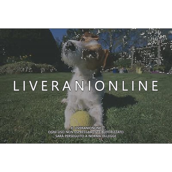 Dogs don\'t fetch balls because they are round - and actually understand the word \'ball\' differently than we do. When a dog hears the word \'ball\', it remembers the rubbery texture, not the round shape - and runs off in search of that. The animals attach words to objects in a fundamentally different way to humans. The discovery could help to train dogs for specific tasks such as search-and-rescue - and could even make training family pets easier. ©photoshot/AGENZIA ALDO LIVERANI SAS - ITALY ONLY - CANE CHE GIOCA CON UNA PALLINA