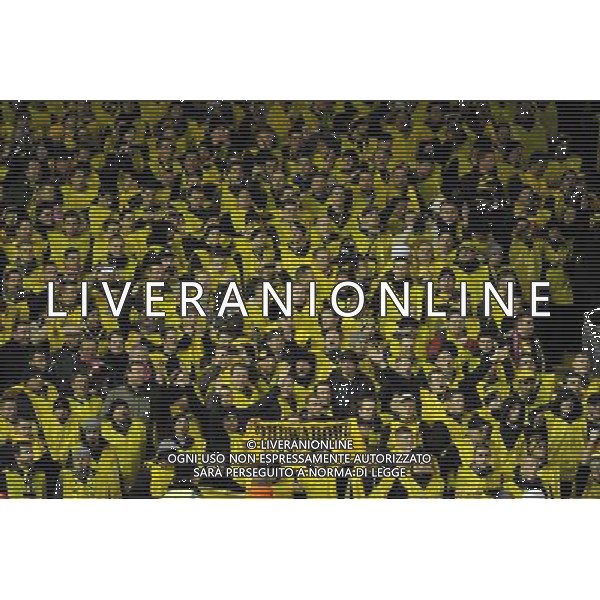 BSC Young Boys Fans 2012/13 Nuri Sahin Liverpool Liverpool V BSC Young Boys 22/11/12 The UEFA Europa League Photo: Robin Parker Fotosports International AG ALDO LIVERANI S A S ONLY ITALY
