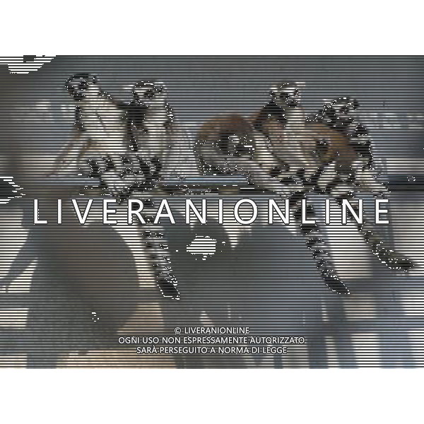 (121124) -- SUZHOU, Nov. 24, 2012 () -- Photo taken on Nov. 24, 2012 shows ring-tailed lemurs in Suzhou Zoo, in Suzhou, east China\'s Jiangsu Province. (/Wang Jiankang) (lmm) ©photoshot/AGENZIA ALDO LIVERANI SAS - ITALY ONLY - ANIMALI NELLO ZOO di Suzhou, in Cina 24 novembre, 2012