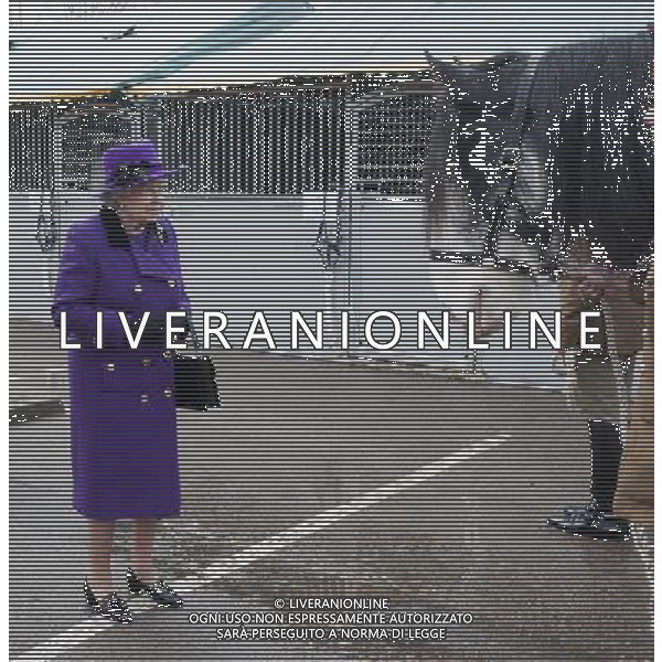 H.M. The Queen meeting members of the Household Cavalry at Combermere Barracks in Windsor, including veteran Drum Horse called \'Mercury\'. Picture David Parker 26/11/12 N.P.A. ROTA ©photoshot/AGENZIA ALDO LIVERANI SAS - ITALY ONLY - REALI INGLESI: La Regina Elisabetta II incontra i membri della Household Cavalry Barracks a Combermere a Windsor, 26/11/2012
