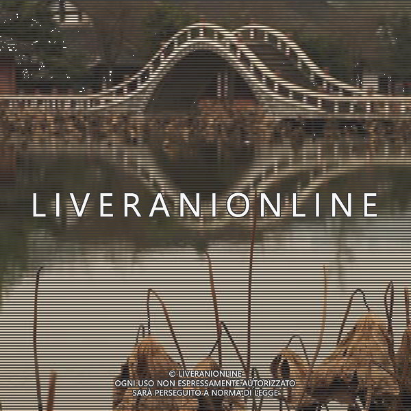 (121204) -- CHONGQING, Dec. 4, 2012 () -- Photo taken on Dec. 3, 2012 shows withered lotus on a lake in Chongqing, southwest China. (/Luo Guojia) (lfj) ©photoshot/AGENZIA ALDO LIVERANI SAS - ITALY ONLY - Fiori di loto appassiti su un lago a Chongqing, Cina sud-occidentale.