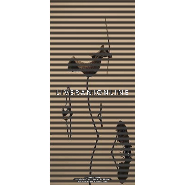 (121204) -- CHONGQING, Dec. 4, 2012 () -- Photo taken on Dec. 3, 2012 shows withered lotus on a lake in Chongqing, southwest China. (/Luo Guojia) (lfj) ©photoshot/AGENZIA ALDO LIVERANI SAS - ITALY ONLY - Fiori di loto appassiti su un lago a Chongqing, Cina sud-occidentale.