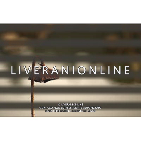 (121204) -- CHONGQING, Dec. 4, 2012 () -- Photo taken on Dec. 3, 2012 shows withered lotus on a lake in Chongqing, southwest China. (/Luo Guojia) (lfj) ©photoshot/AGENZIA ALDO LIVERANI SAS - ITALY ONLY - Fiori di loto appassiti su un lago a Chongqing, Cina sud-occidentale.