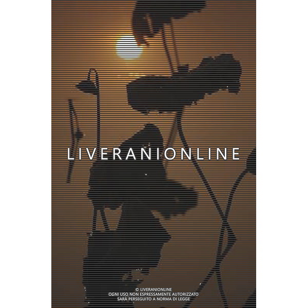 (121204) -- CHONGQING, Dec. 4, 2012 () -- Photo taken on Dec. 3, 2012 shows withered lotus on a lake in Chongqing, southwest China. (/Luo Guojia) (lfj) ©photoshot/AGENZIA ALDO LIVERANI SAS - ITALY ONLY - Fiori di loto appassiti su un lago a Chongqing, Cina sud-occidentale.