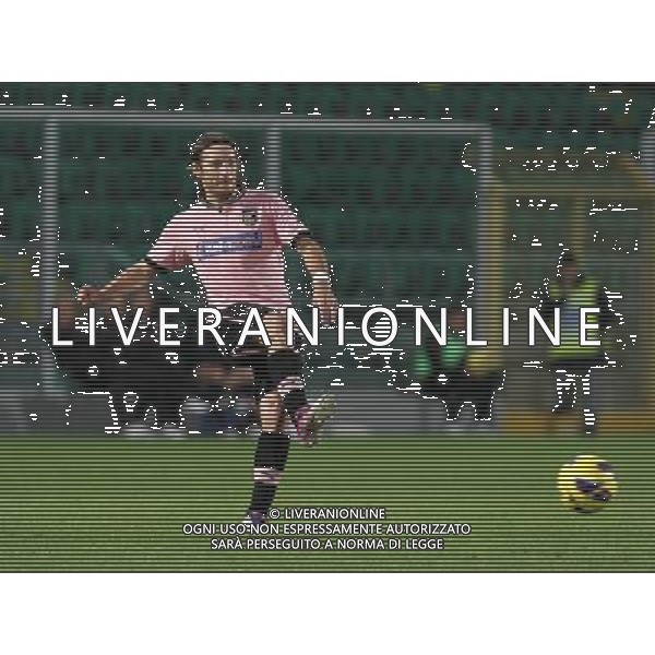 27-11-12 Palermo: palermo - hellas verona coppa italia tim 2012-13 Nella foto: barreto edgar GIUSEPPE SERGI/AG ALDO LIVERANI SAS AG ALDO LIVERANI S A S