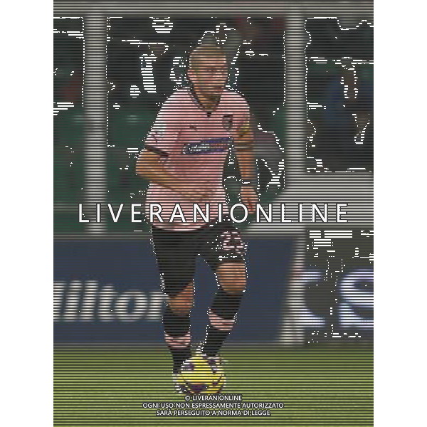 27-11-12 Palermo: palermo - hellas verona coppa italia tim 2012-13 Nella foto: donati massimo GIUSEPPE SERGI/AG ALDO LIVERANI SAS AG ALDO LIVERANI S A S