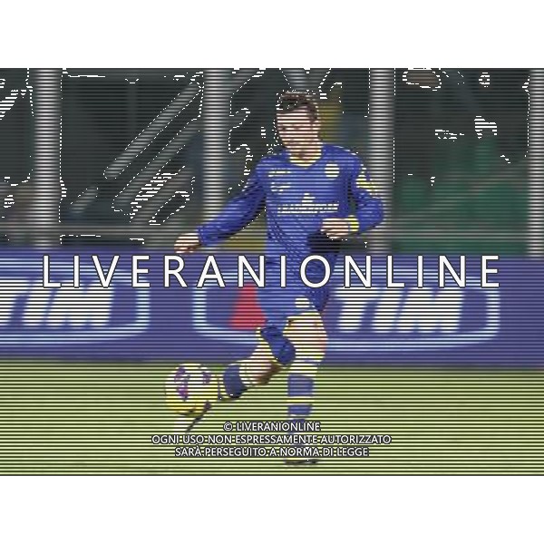 27-11-12 Palermo: palermo - hellas verona coppa italia tim 2012-13 Nella foto: carozza alessandro GIUSEPPE SERGI/AG ALDO LIVERANI SAS AG ALDO LIVERANI S A S