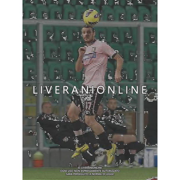 27-11-12 Palermo: palermo - hellas verona coppa italia tim 2012-13 Nella foto: giorgi luigi GIUSEPPE SERGI/AG ALDO LIVERANI SAS AG ALDO LIVERANI S A S