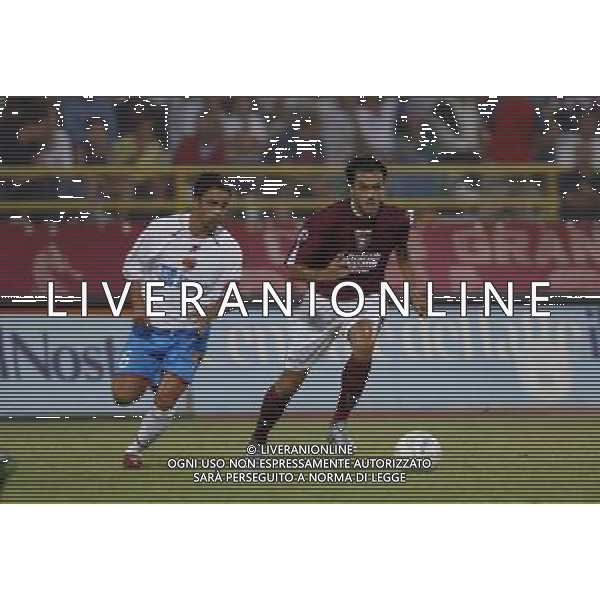 salernitana-catania tim cup 22/08/2004 nella foto: raffaele palladino foto aldo liverani