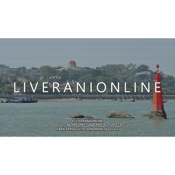 (121208) -- XIAMEN, Dec. 8, 2012 () -- Photo taken on Dec. 6, 2012 shows Gulangyu Island in Xiamen, southeast China\'s Fujian Province. Gulangyu Island, with an area of 1.87 square kilometers and a population of 20,000, preserves more than 1000 historical buildings with different styles and is known as China\'s Museum of Architecture. (/Zhang Guojun) (lmm) ©photoshot/Agenzia Aldo Liverani Sas - ITALY ONLY - L\'Isola di Gulangyu a Xiamen, nel sud est della Cina provincia del Fujian con una superficie di 1,87 chilometri quadrati e una popolazione di 20.000 abitanti, conserva piu\' di 1000 edifici storici con stili diversi ed e\' conosciuto come Museo di Architettura Cinese