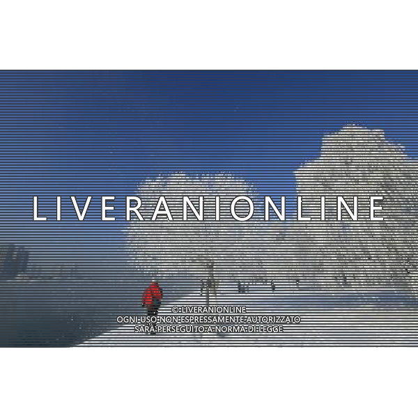 (121212) -- JILIN, Dec. 12, 2012 () -- Photo taken on Dec. 12, 2012 shows the scenery of rime in Jilin City, northeast China\'s Jilin Province. () (zkr) ©photoshot/AGENZIA ALDO LIVERANI SAS - ITALY ONLY - Neve - fredddo- inverno 12 Dicembre 2012 paesaggio con alberi coperti dal ghiaccio e brina nella citta\' di Jilin, Provincia nord-est della Cina.