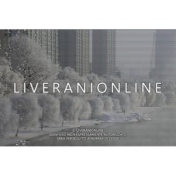 (121212) -- JILIN, Dec. 12, 2012 () -- Photo taken on Dec. 12, 2012 shows the scenery of rime in Jilin City, northeast China\'s Jilin Province. () (zkr) ©photoshot/AGENZIA ALDO LIVERANI SAS - ITALY ONLY - Neve - fredddo- inverno 12 Dicembre 2012 paesaggio con alberi coperti dal ghiaccio e brina nella citta\' di Jilin, Provincia nord-est della Cina.