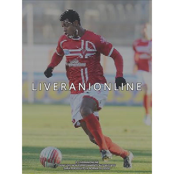 PERUGIA VIAREGGIO LEGA PRO 2012/13 NELLA FOTO AYRES FABIO AG ALDO LIVERANI S A S