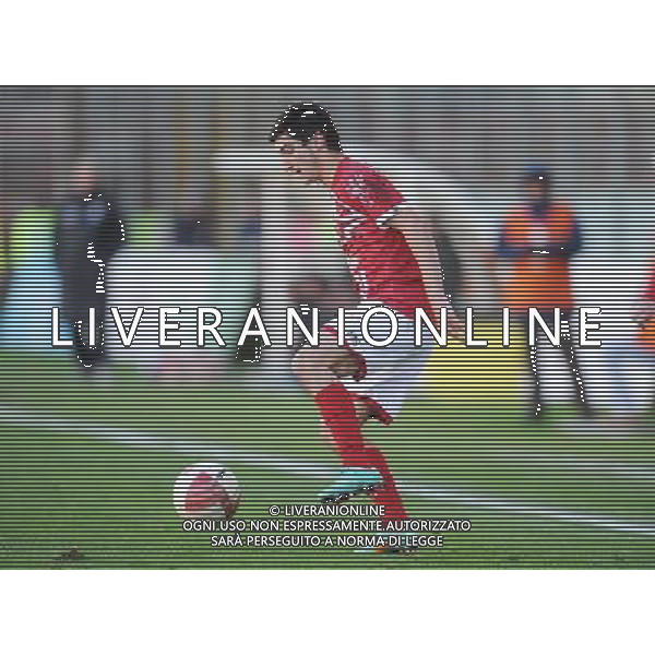 PERUGIA VIAREGGIO LEGA PRO 2012/13 NELLA FOTO POLITANO MATTEO AG ALDO LIVERANI S A S