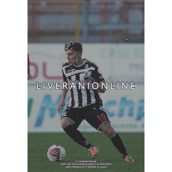 PERUGIA VIAREGGIO LEGA PRO 2012/13 NELLA FOTO CALAMAI MATTEO AG ALDO LIVERANI S A S