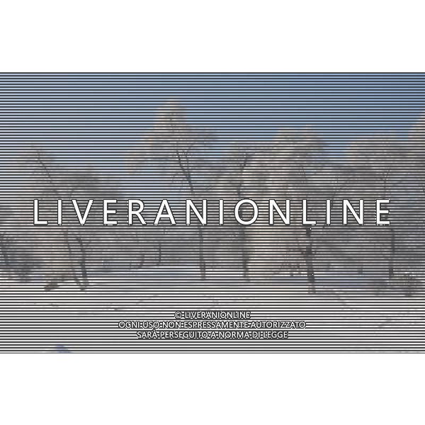 (121224) -- JILIN, Dec. 24, 2012 () -- Photo taken on Dec. 24, 2012 shows rime-covered trees at a park in Jilin City, northeast China\'s Jilin Province. (/Wang Mingming) (zn) ©photoshot/Agenzia Aldo Liverani Sas - ITALY ONLY - Neve - fredddo- inverno Dicembre 2012 paesaggio con alberi coperti dal ghiaccio e brina nella citta\' di Jilin, Provincia nord-est della Cina