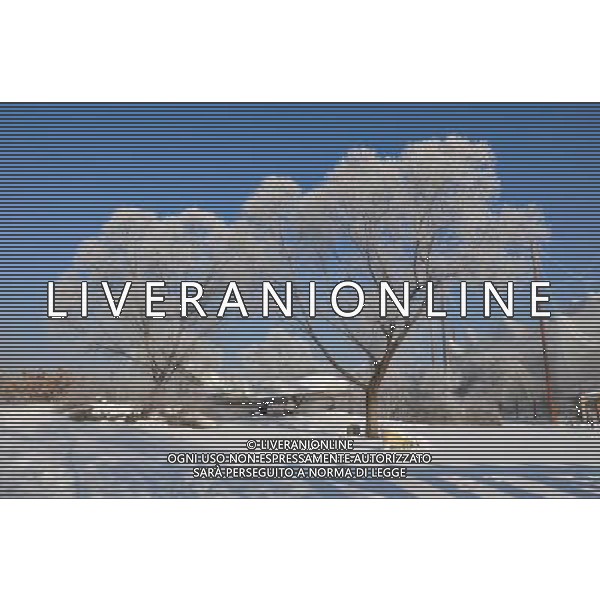 (121224) -- JILIN, Dec. 24, 2012 () -- Photo taken on Dec. 24, 2012 shows rime-covered trees at a park in Jilin City, northeast China\'s Jilin Province. (/Wang Mingming) (zn) ©photoshot/Agenzia Aldo Liverani Sas - ITALY ONLY - Neve - fredddo- inverno Dicembre 2012 paesaggio con alberi coperti dal ghiaccio e brina nella citta\' di Jilin, Provincia nord-est della Cina