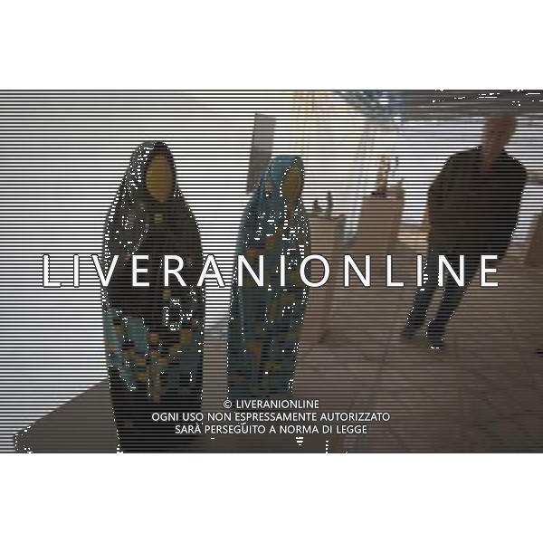 (121228) -- TEHRAN, Dec. 28, 2012 () -Visita della Terza Biennale di Scultura Urbana a Tehran, capitale dell\' Iran, Dec. 27, 2012. Pi di 170 artisti Iraniani presentano i loro lavori alla biennale. (/Ahmad Halabisaz) (yc) ©Photoshot/AGENZIA ALDO LIVERANI SAS-ITALY ONLY - EDITORIAL USE ONLY