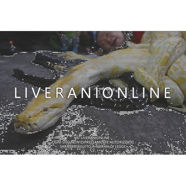 121228) -- MALABON CITY, Dec. 28, 2012 () -- Un pitone Burmese albino avvolge il corpo di un addetto dello zoo durante la celebrazione dell\'arrivo dell\'anno del serpente per lo zodiaco cinese allo zoo a Malabon City,nelle Filippine, Dec. 28, 2012. (/Rouelle Umali)(zjl) ©Photoshot/AGENZIA ALDO LIVERANI SAS-ITALY ONLY - EDITORIAL USE ONLY 