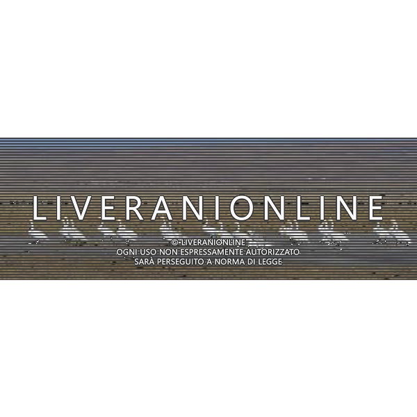 (130102) -- XINING, Jan. 2, 2013 () -- White swans are seen on the grassland along the Qinghai Lake, northwest China\'s Qinghai Province, Jan. 1, 2013. The improving environment of the Qinghai Lake has attracted more swans to spend the winter here. (/Ge Qingmin) (mp) ©Photoshot-ITALY ONLY - EDITORIAL USE ONLY/AGENZIA ALDO LIVERANI SAS