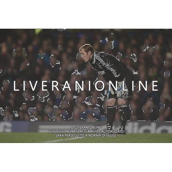 Swansea City\'s Gerhard Tremmel Football - Football - Capital One Cup Semi-Final - Chelsea v Swansea City - Wednesday 9th January 2013 - Stamford Bridge - London © CameraSport - 43 Linden Ave. Countesthorpe. Leicester. England. LE8 5PG - Tel: +44 (0) 116 277 4147 - admin@camerasport.com - www.camerasport.com AG ALDO LIVERANI S A S ONLY ITALY