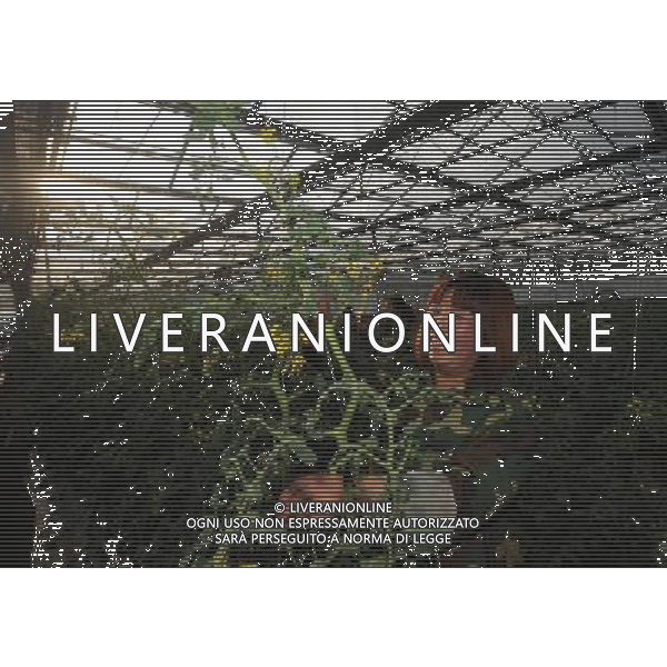 (121218) -- TAIYUAN, Dec. 18, 2012 () -- Ma l\'acqua Villager Zhen bolle di gas di palude in Jingadao Village di Changzhi County, a nord della Cina nella provincia dello Shanxi, 11 dicembre, 2012. Jingadao Villaggio di Changzhi County ha formato una economia a ciclo chiuso. Gli abitanti dei villaggi qui utilizzare gas metano come combustibile dopo la fermentazione degli escrementi di maiale, adottare pulito sistema di smaltimento delle acque reflue, produzione di fertilizzante naturale di escrementi animali e vegetali di piante verdi (/Yan Yan) (lfj) ©Photoshot/AGENZIA ALDO LIVERANI SAS-ITALY ONLY - EDITORIAL USE ONLY