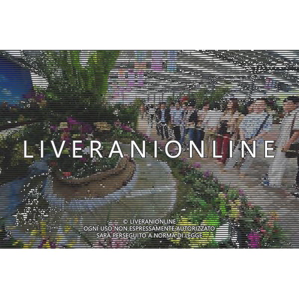 (130110) -- SANYA, Jan. 10, 2013 () -- Visitors view the orchids displayed at the 7th China (Sanya) International Orchid Expo in Sanya, south China\'s Hainan Province, Jan. 10, 2013. The expo opened here on Thursday, attracting exhibitors from 20 countries and regions. (/Hou Jiansen) (zz) ©Photoshot/AGENZIA ALDO LIVERANI SAS-ITALY ONLY - EDITORIAL USE ONLY