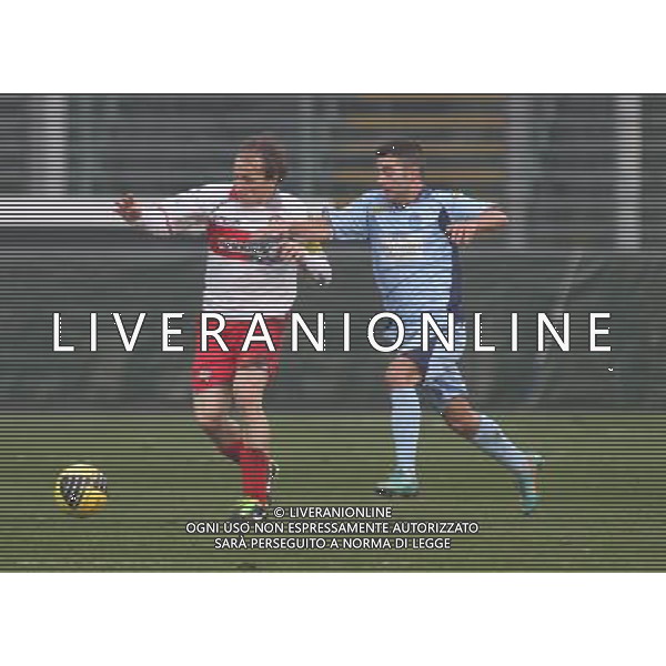 BERGAMO 13 GENNAIO 2013, NELLA FOTO CONTRASTO TRA DAVIDE BAIOCCO A SINISTRA E MARIO PACILLI A DESTRA DELLA FOTO ,ph.moro/ALDO LIVERANI ALBINOLEFFE - CREMONESE CAMPIONATO CALCIO SERIE BWIN 13/01/2013