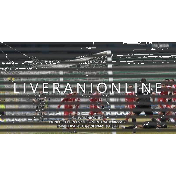 MONZA (MB) 13/1/2013 CAMPIONATO NAZIONALE LEGA PRO 2a DIVISIONE 2012/2013 MONZA BRIANZA vs RIMINI NELLA FOTO IL GOL DELL\' 1-0 DI ROBERTO ROSINI FOTO ROMANO/AG ALDO LIVERANI