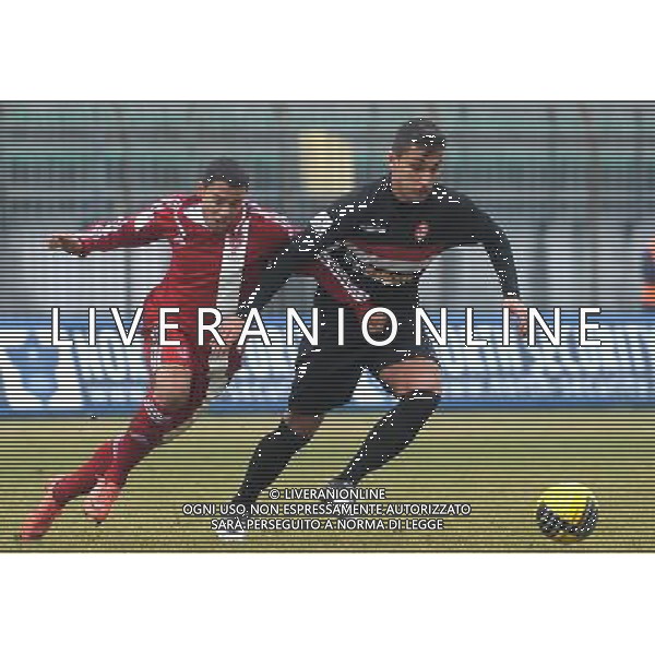 MONZA (MB) 13/1/2013 STADIO BRIANTEO CAMPIONATO NAZIONALE LEGA PRO 2a DIVISIONE 2012/2013 MONZA BRIANZA vs RIMINI NELLA FOTO MATTIA MAITA ED ALESSIO VITA FOTO ROMANO/AG ALDO LIVERANI