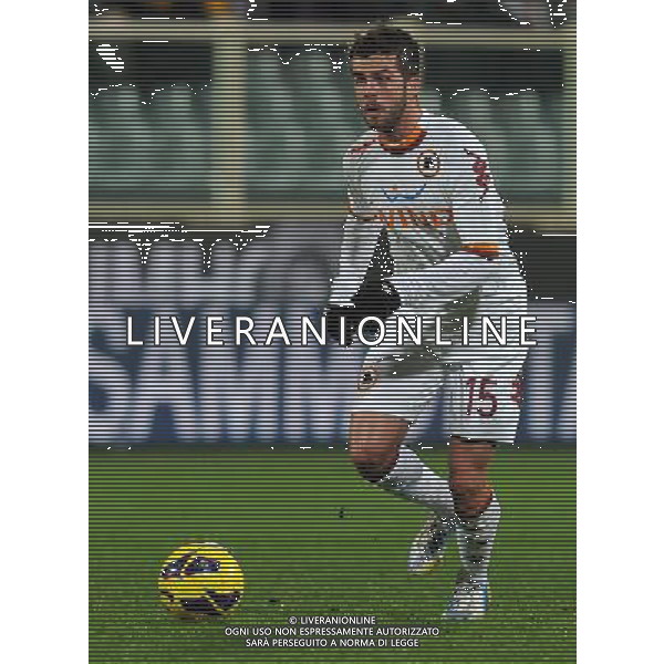 Coppa Italia TIM Cup 2012/2013 Quarti di Finale Firenze - 16.01.2013 Fiorentina-Roma Nella Foto:Pjanic Miralem /Ph.Vitez-Ag. Aldo Liverani